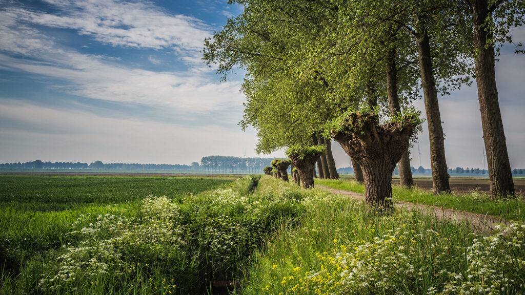 Sfeerfoto natuur buitengebied Deeltaxi