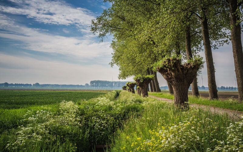 Sfeerfoto natuur buitengebied Deeltaxi