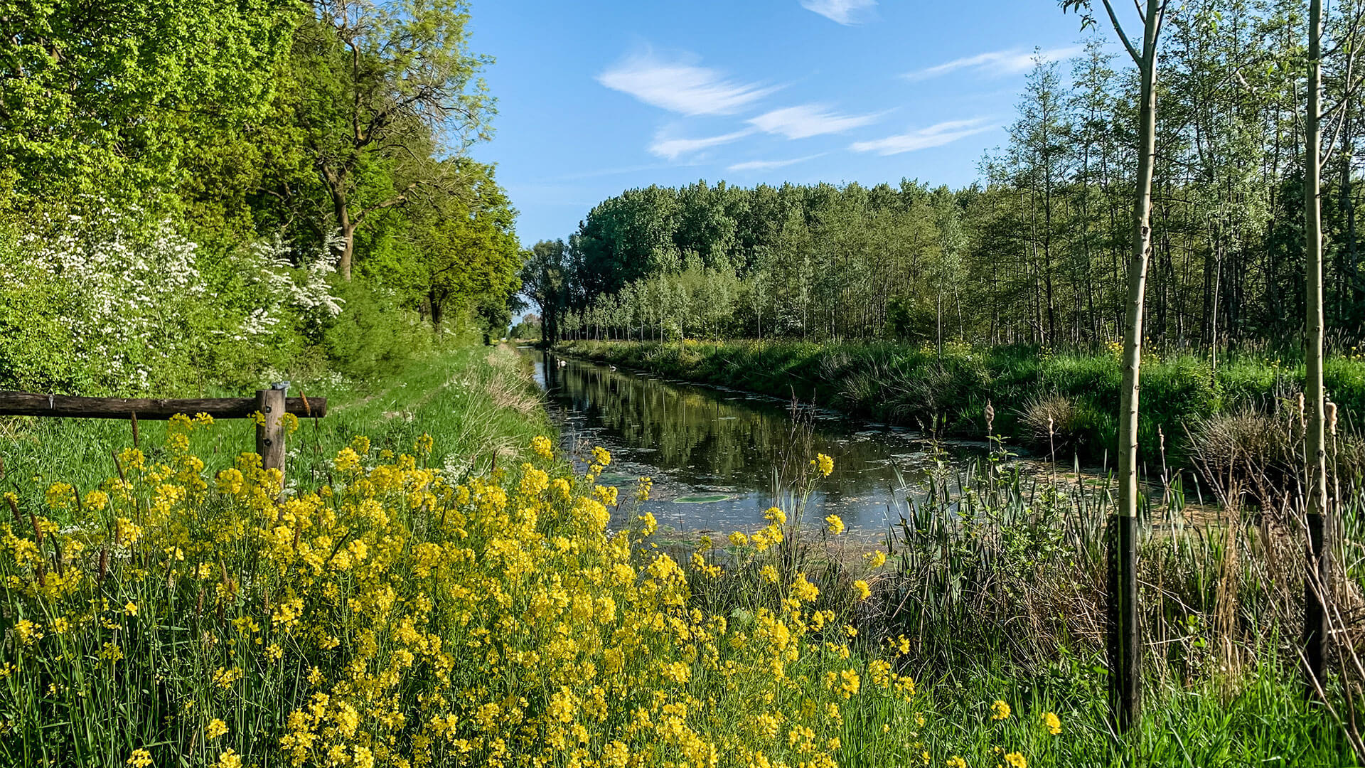 (c) Deeltaxi-westbrabant.nl